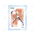 『#コンパス 戦闘摂理解析システム』輝龍院きらら Ani-Art aqua label A6アクリルパネル